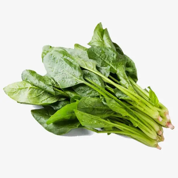 菠菜
