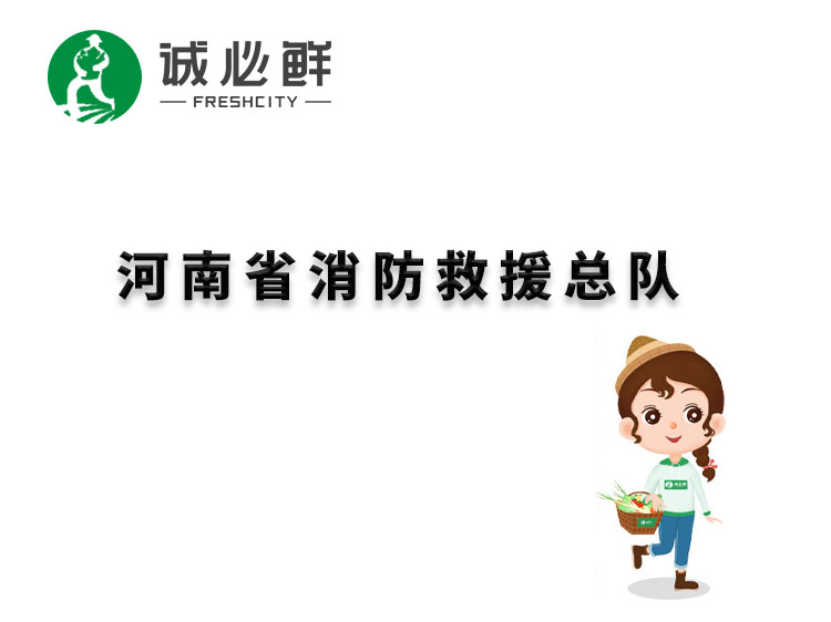 河南省消防救援总队
